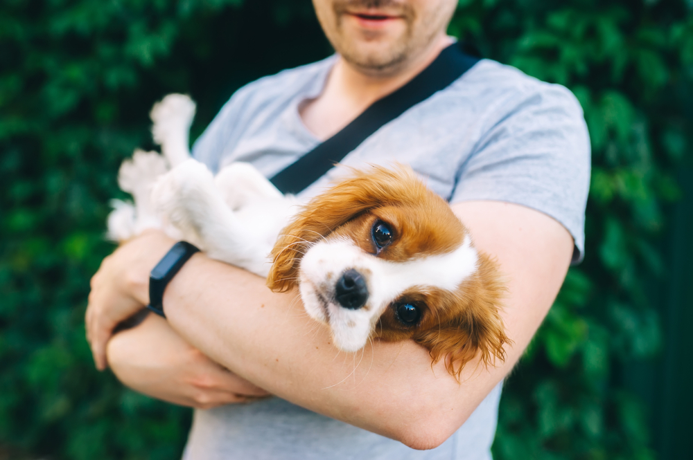 Couple with dog enjoying nature by the water – River Grove Animal Hospital
