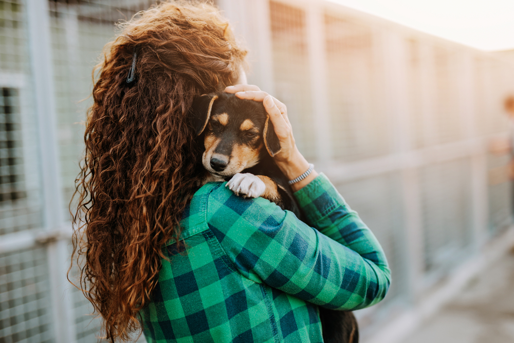 Couple with dog enjoying nature by the water – River Grove Animal Hospital